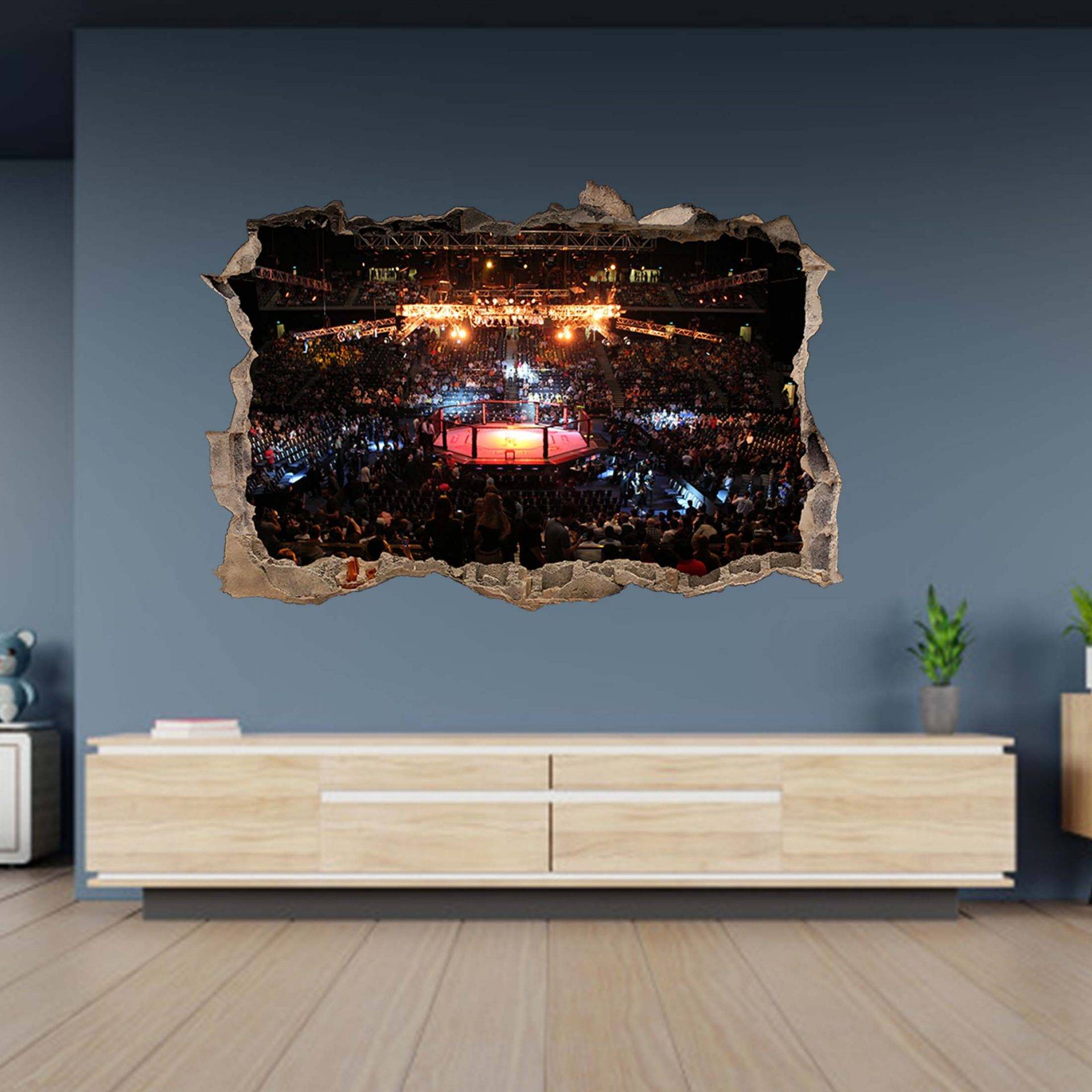 MMA Fight Arena Theme 3D Hole in The Wall Effect Decal Art Sticker Mural