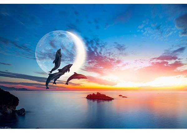 Sunset Ocean Dolphins Laminated Vinyl Cover Self-Adhesive for Desk and Tables