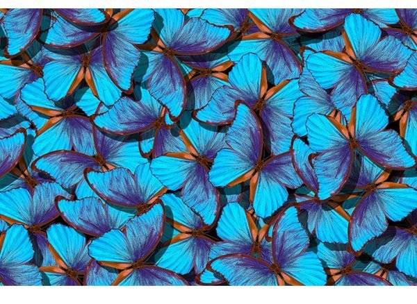 Blue Butterflies Laminated Vinyl Cover Self-Adhesive for Desk and Tables