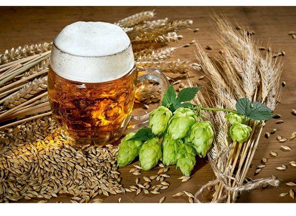 Hops Grain Beer Laminated Vinyl Cover Self-Adhesive for Desk and Tables