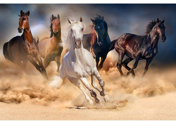 Galloping Horses in Dust Laminated Vinyl Cover Self-Adhesive for Desk and Tables
