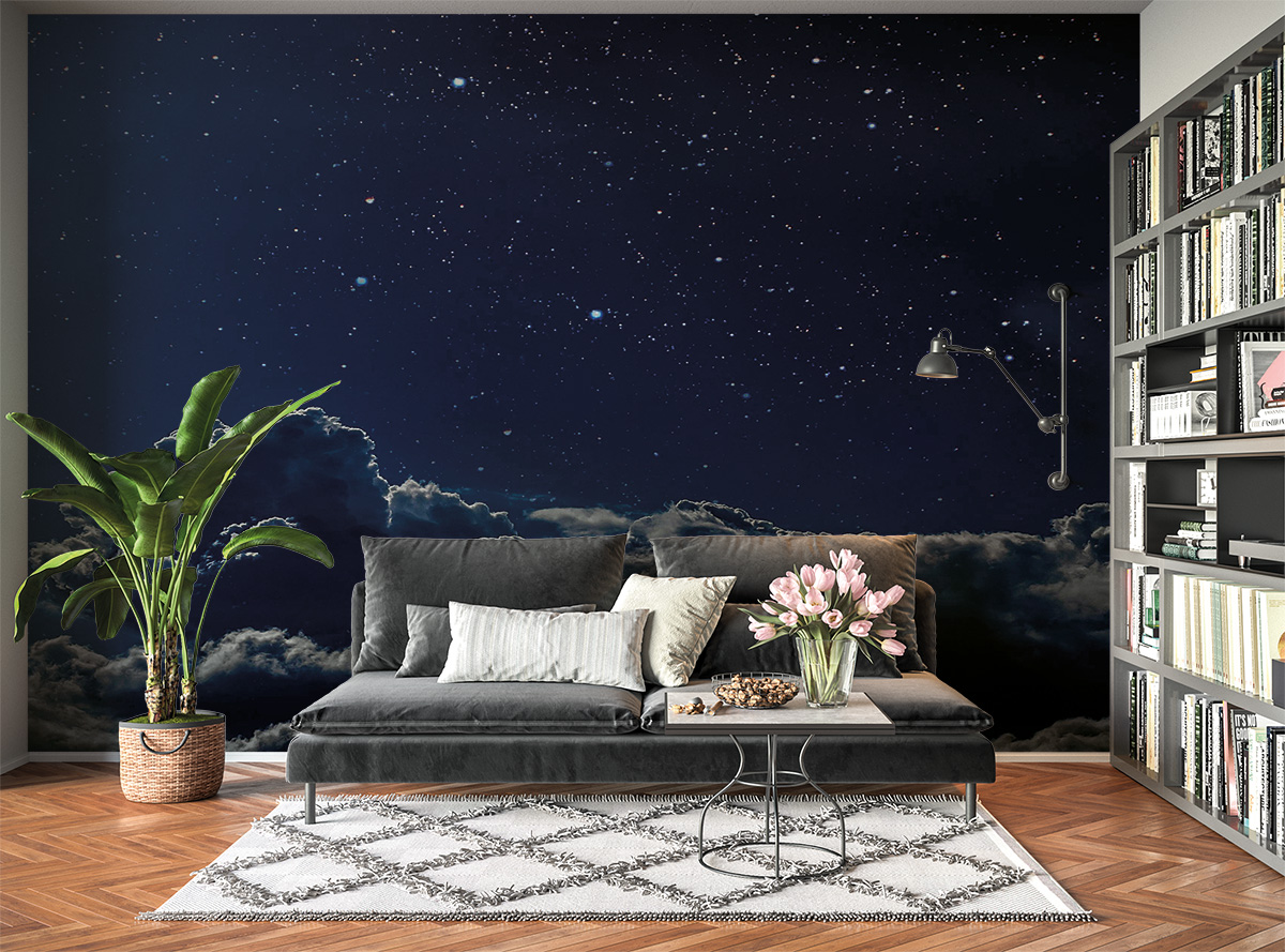 Night-time Sky & Stars View Wall Mural