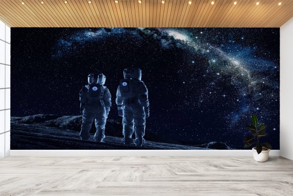 Astronaut in Space Wall Mural Photo Wallpaper UV Print Decal Art Décor