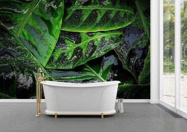 Green leaves with rain drops Wall Mural Photo Wallpaper UV Print Decal Art Décor