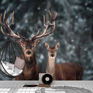 Pair of Deer Winter Season Wall Mural Photo Wallpaper UV Print Decal Art Décor