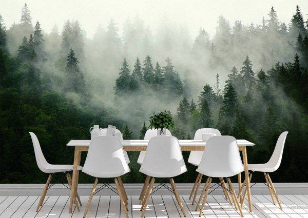 Mysterious Fog over Forest Wall Mural Photo Wallpaper