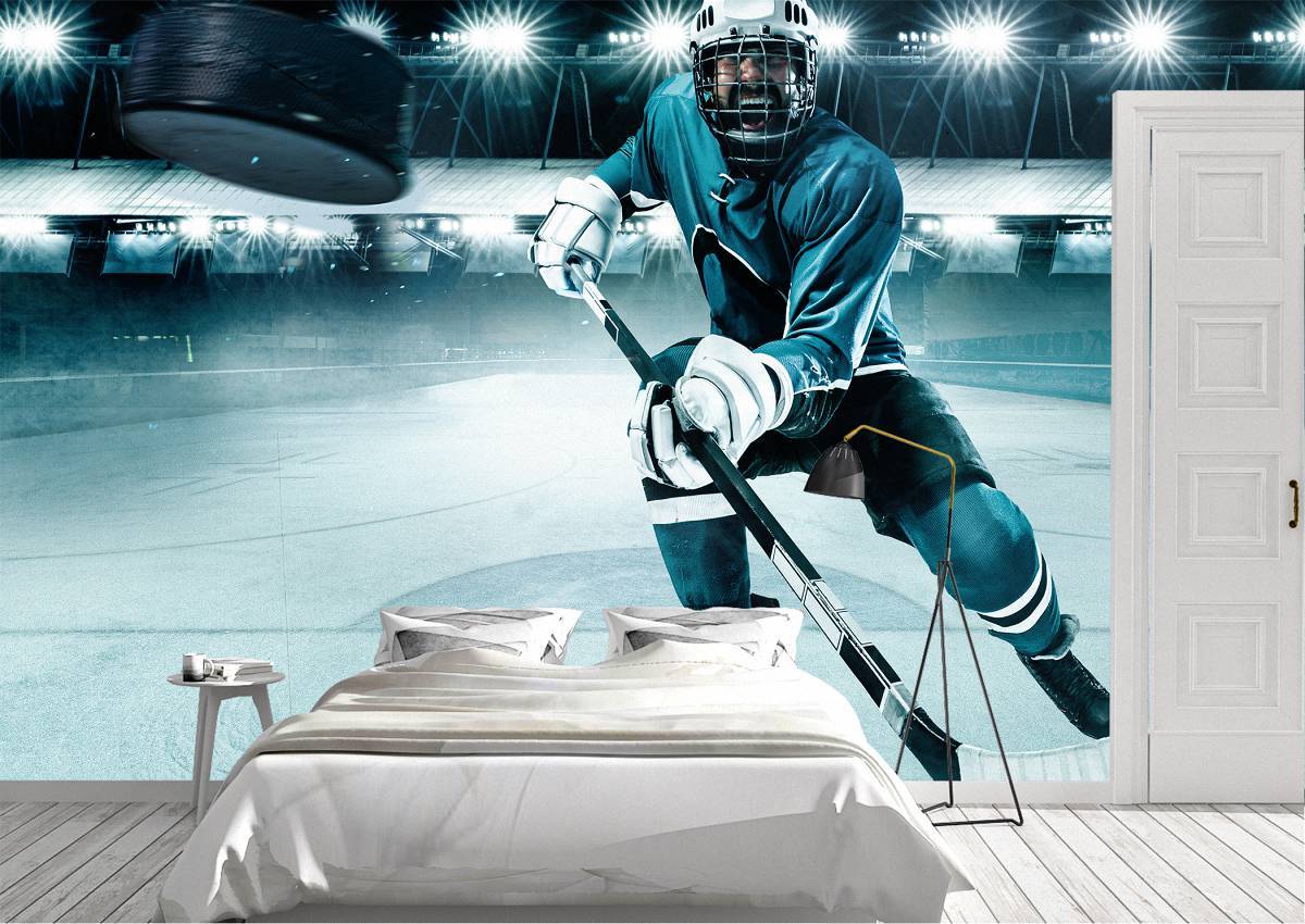 Ice Hockey player on Stadium Wall Mural Photo Wallpaper UV Print Decal Art Décor