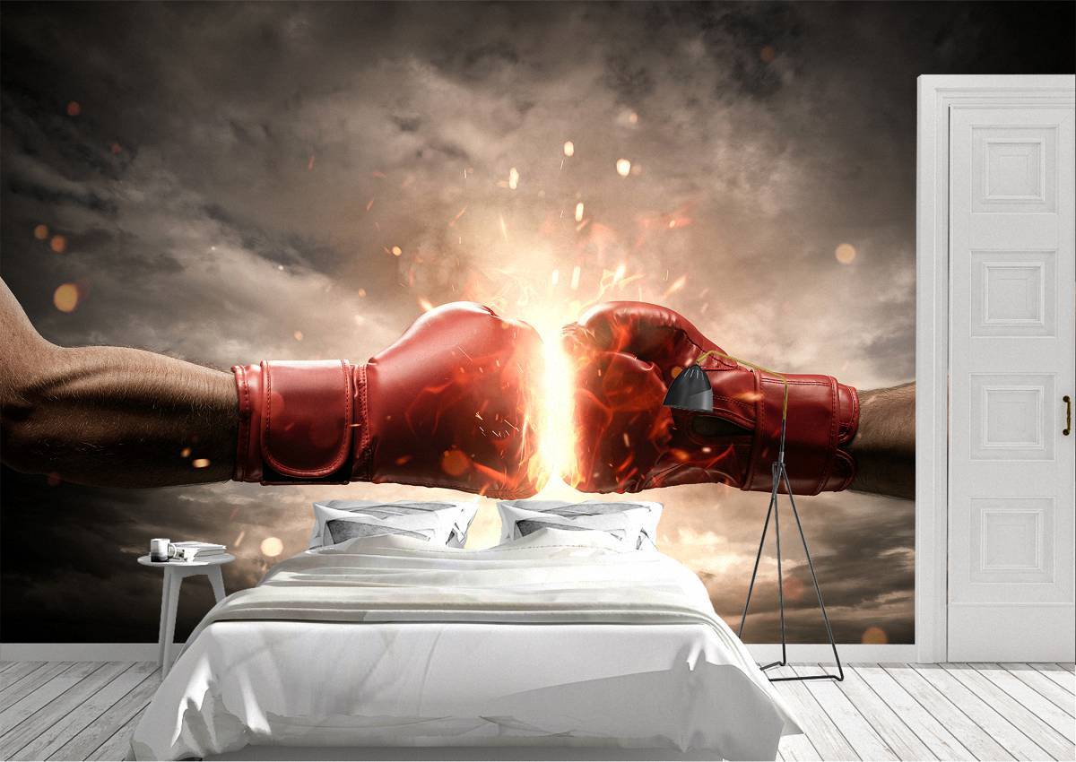 3D Boxing Fire 306 Wall Murals