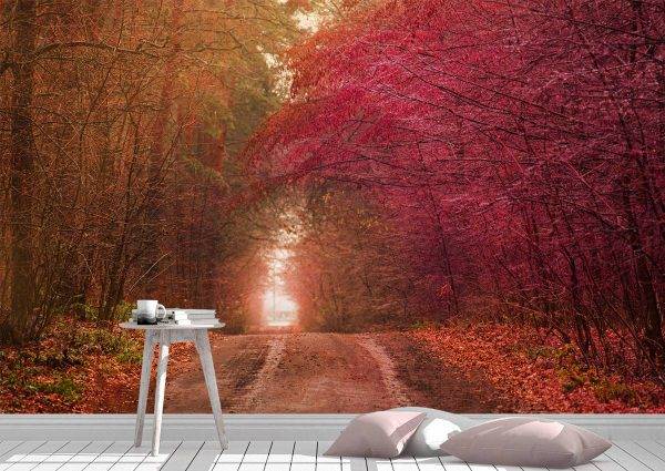 Beautiful Autumn Tree Tunnel Wall Mural Photo Wallpaper UV Print Decal Art Décor