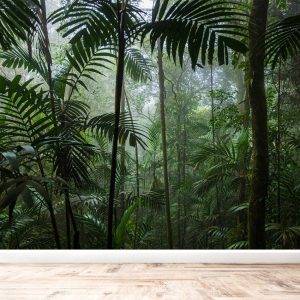 Tropical Jungle Forest Wall Mural Photo