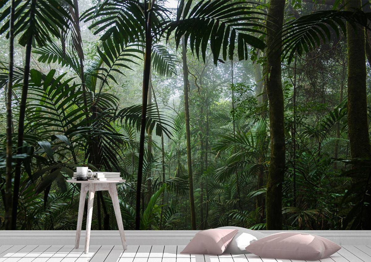 Tropical Jungle Forest Wall Mural Photo