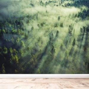 Tropical Forest Landscape Wall Mural Photo