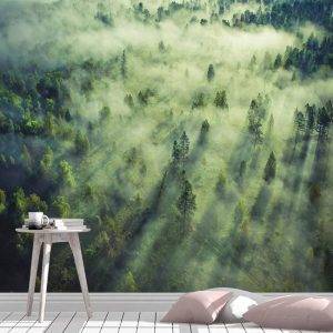 Tropical Forest Landscape Wall Mural Photo