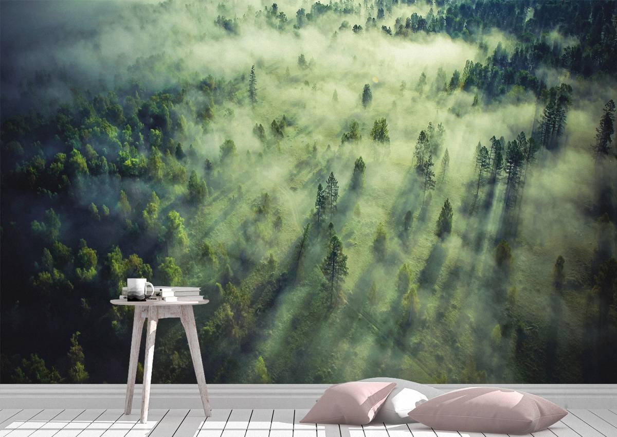 Tropical Forest Landscape Wall Mural Photo- Blue Side Studio Tropical Forest Landscape Wall Mural Photo- Blue Side Studio