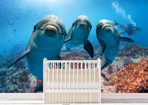 Happy Dolphins Underwater Wall Mural Photo Wallpaper UV Print Decal Art Décor