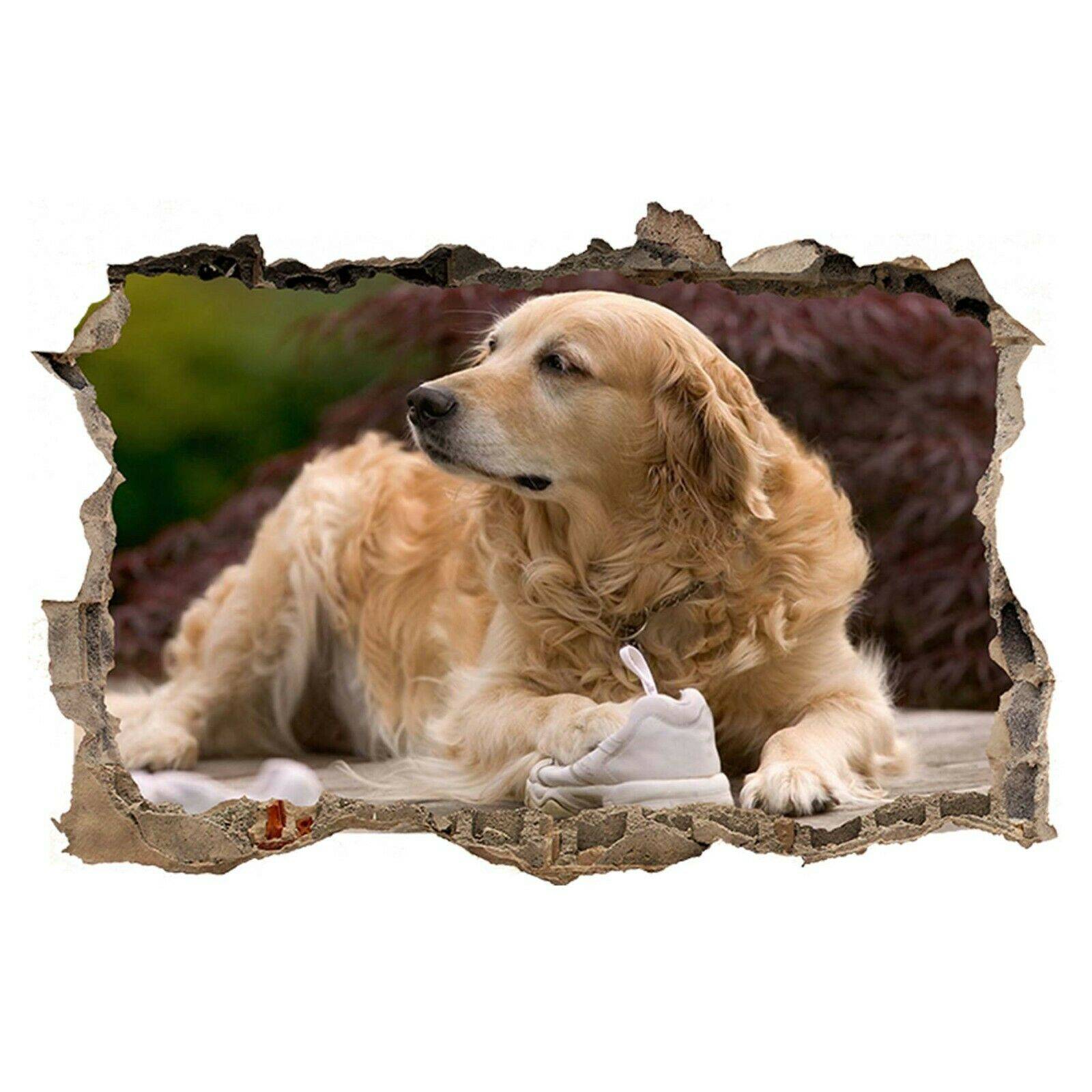 Funny Golden Retriever Dog Poster- Wall Sticker - Blue Side Studio Funny Golden Retriever Dog Poster- Wall Sticker - Blue Side Studio