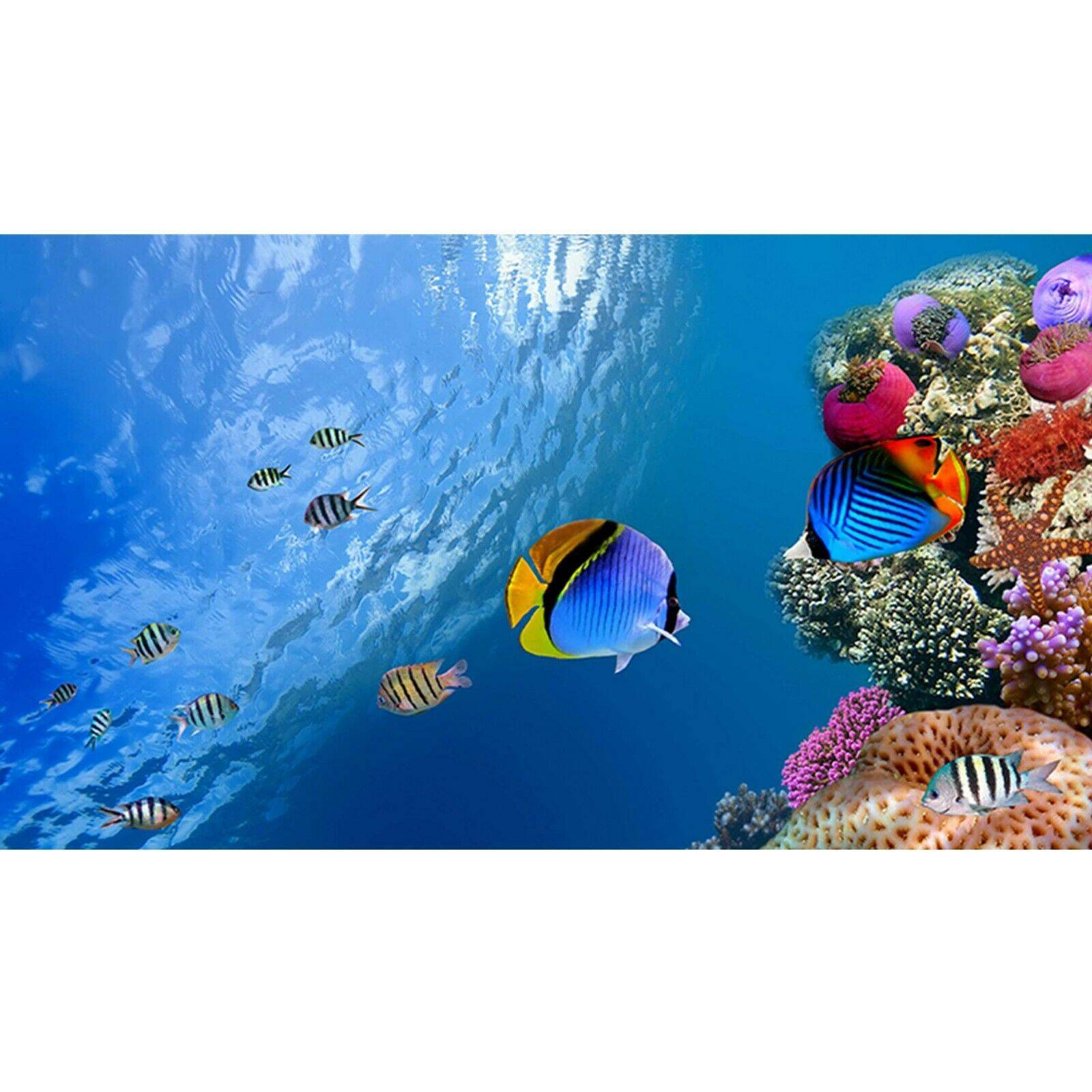 Sea Aquarium Poster- Wall Sticker - Blue Side Studio Sea Aquarium Poster- Wall Sticker - Blue Side Studio
